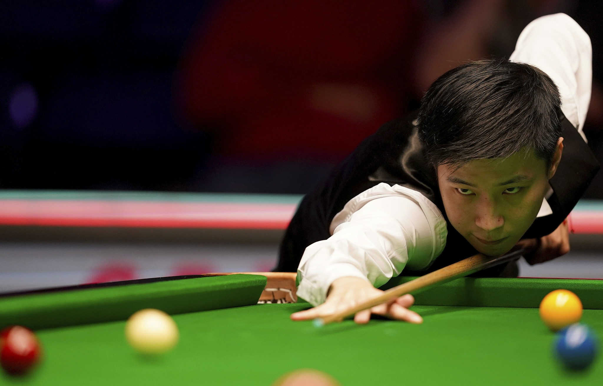 迷的关注度 迷的关注度