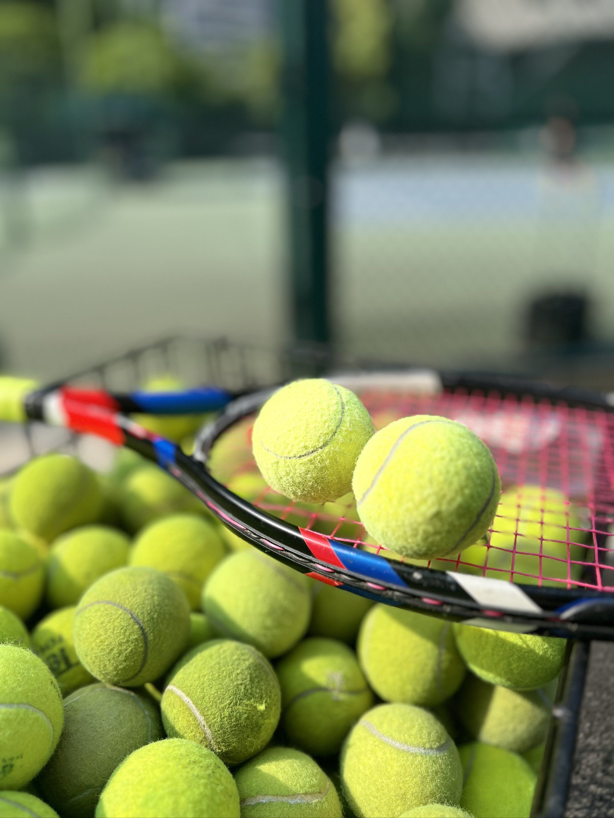 赛中不断磨 赛中不断磨