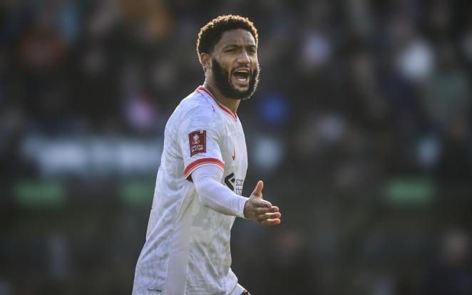 好者的关注 好者的关注